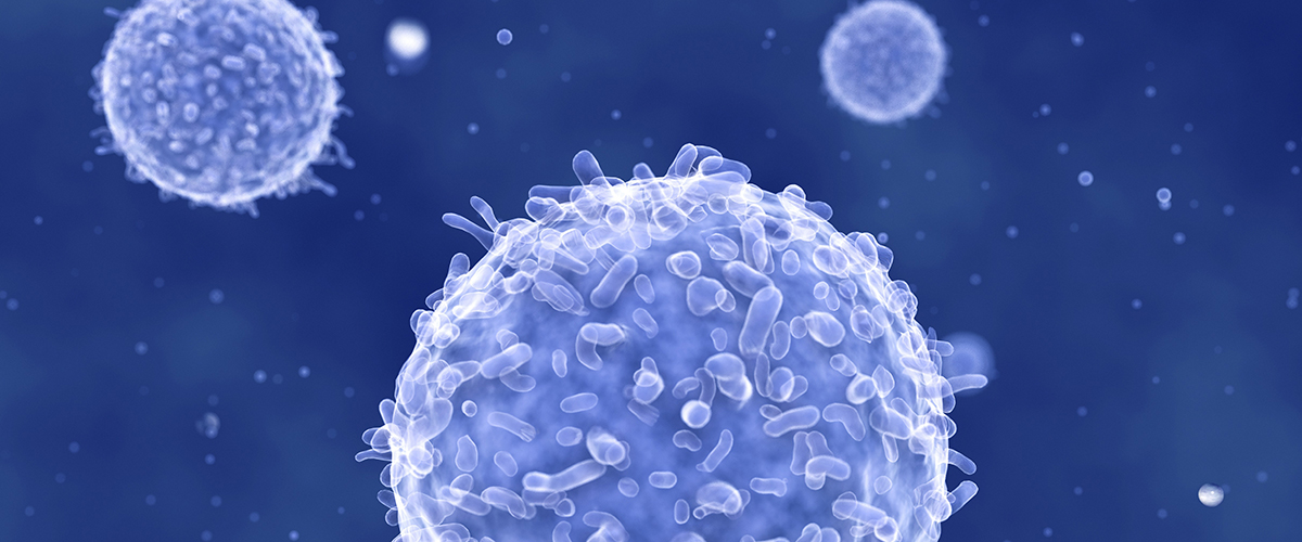 Microscopic rendering of immune cells